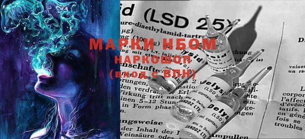 PSILOCYBIN Щучье